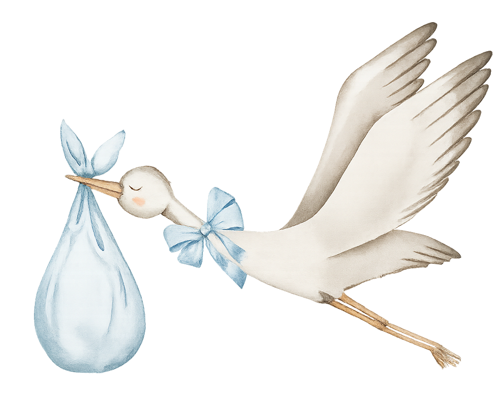 Blue Stork